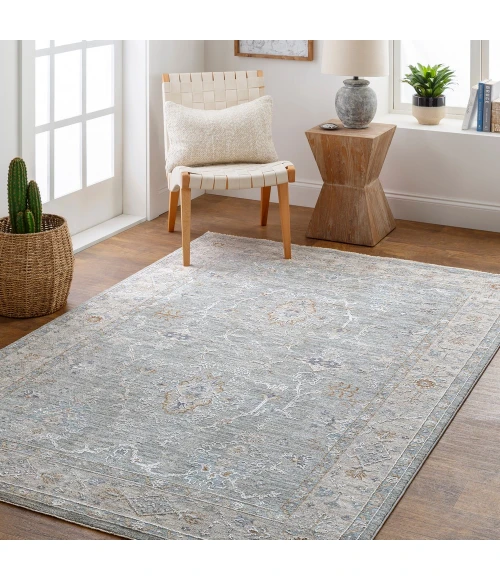 Surya Virginia VGN-2303 4  x 5 5 Rug