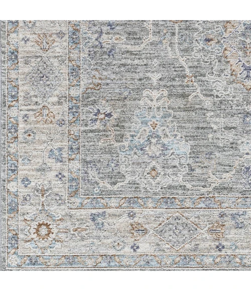 Surya Virginia VGN-2303 4  x 5 5 Rug