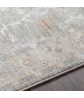 Surya Virginia VGN-2303 4  x 5 5 Rug