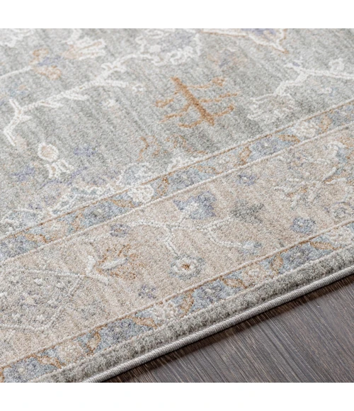 Surya Virginia VGN-2303 4  x 5 5 Rug