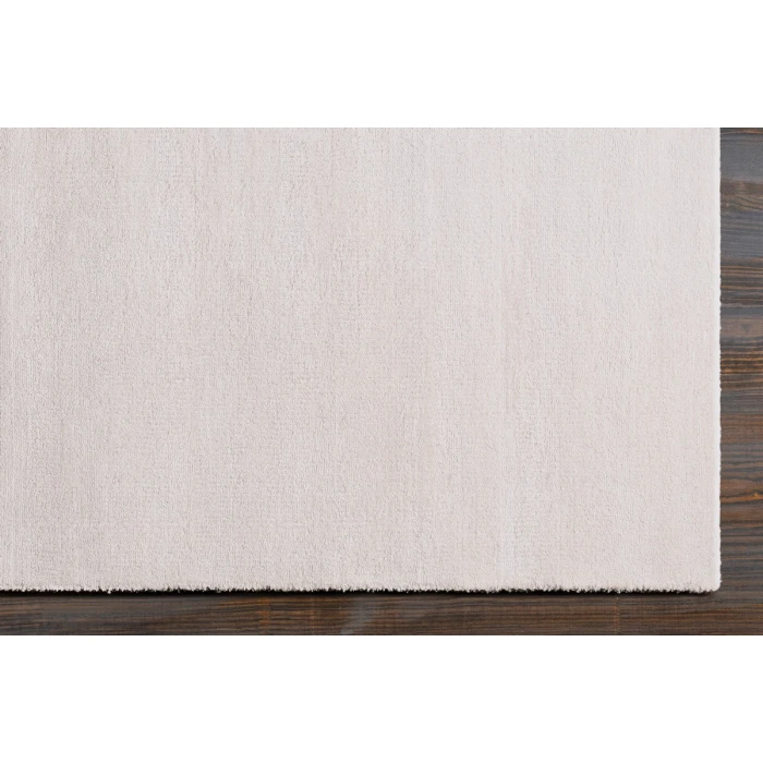 Surya Viola VIO-2000-2x3 rug