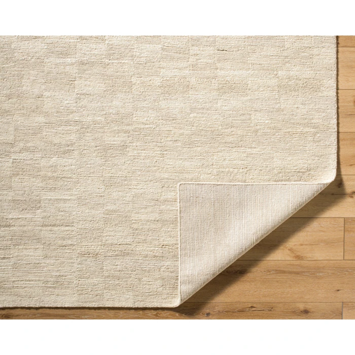Ventura VNR-2301 2' x 3' Handmade Rug