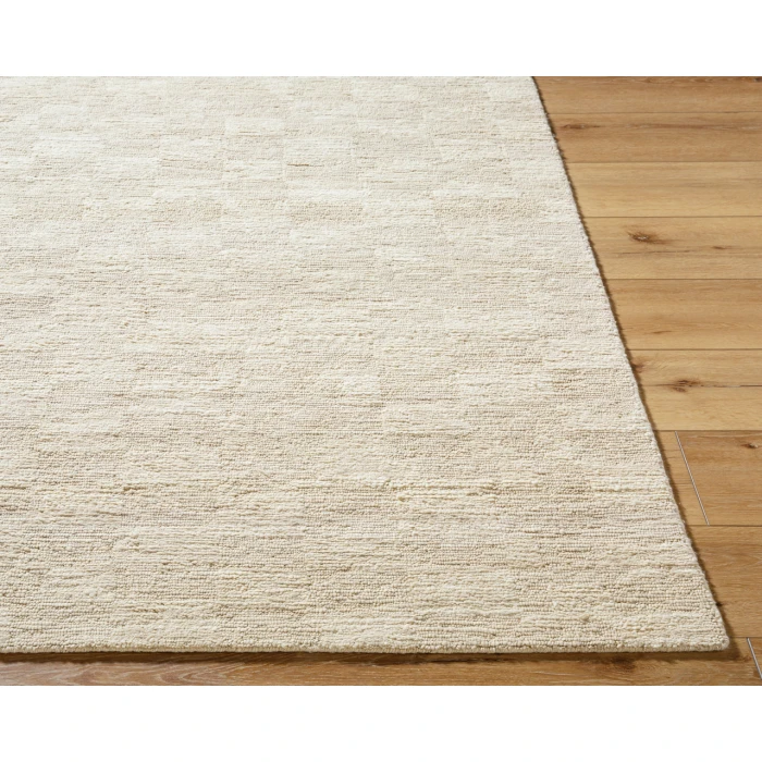 Ventura VNR-2301 2' x 3' Handmade Rug