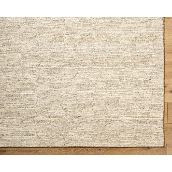 Ventura VNR-2301 2' x 3' Handmade Rug