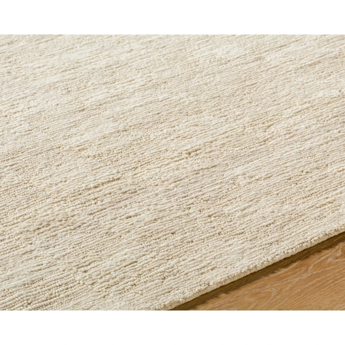Ventura VNR-2301 2' x 3' Handmade Rug