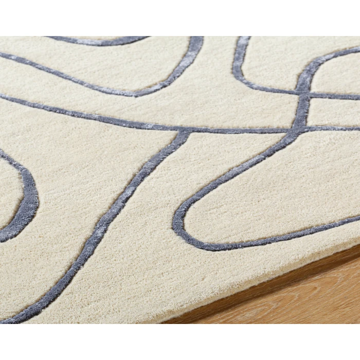 Vilnius VNS-2302 2' x 3' Handmade Rug