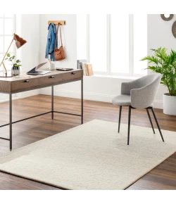 Surya Vilnius VNS2304 Cream Ivory Area Rug 2 ft. X 3 ft. Rectangle