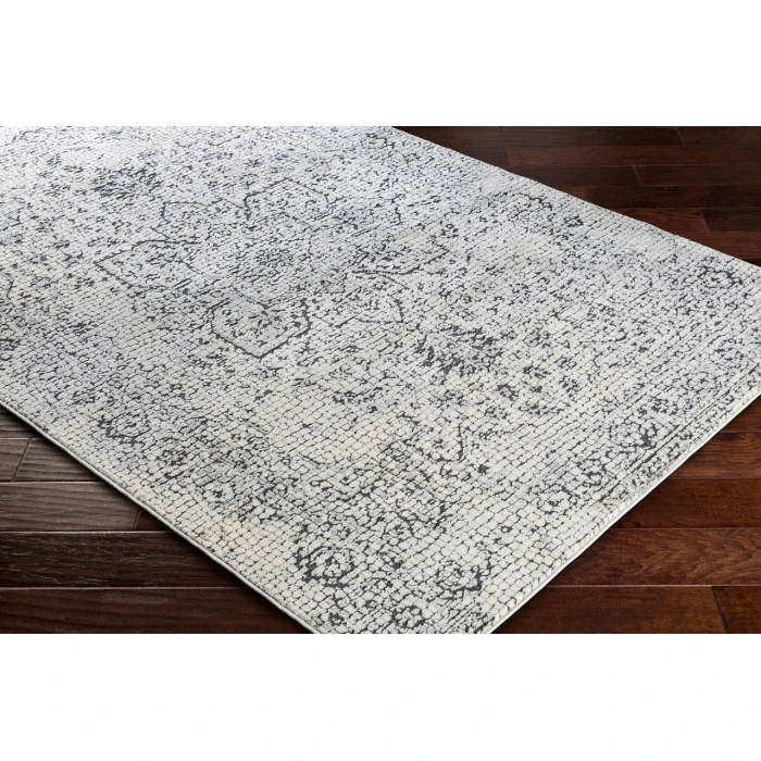 Surya Venezia VNZ-2309 6 7 Square Rug