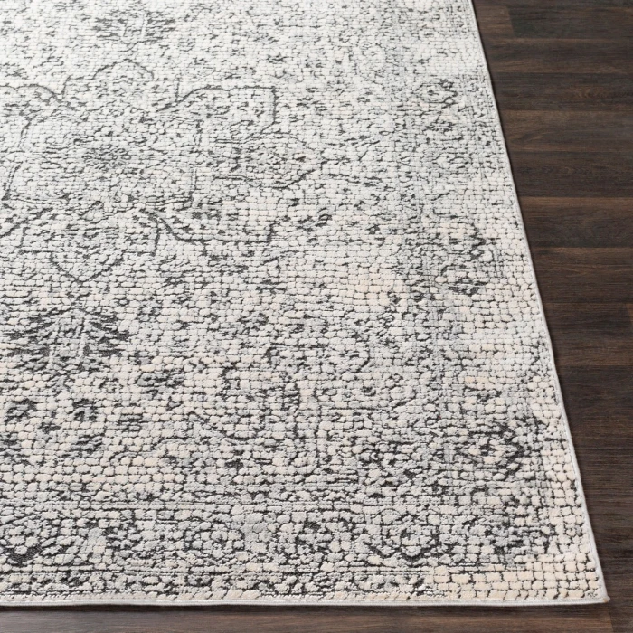 Surya Venezia VNZ-2309 6 7 Square Rug