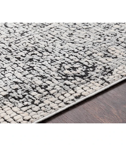 Surya Venezia VNZ-2309 6 7 Square Rug