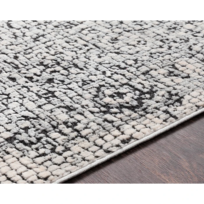Surya Venezia VNZ-2309 6 7 Square Rug