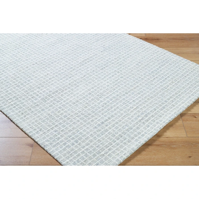Vivir Andreas Powder Blue VVAN-2301 2 ft. X 3 ft. Rect. Rug
