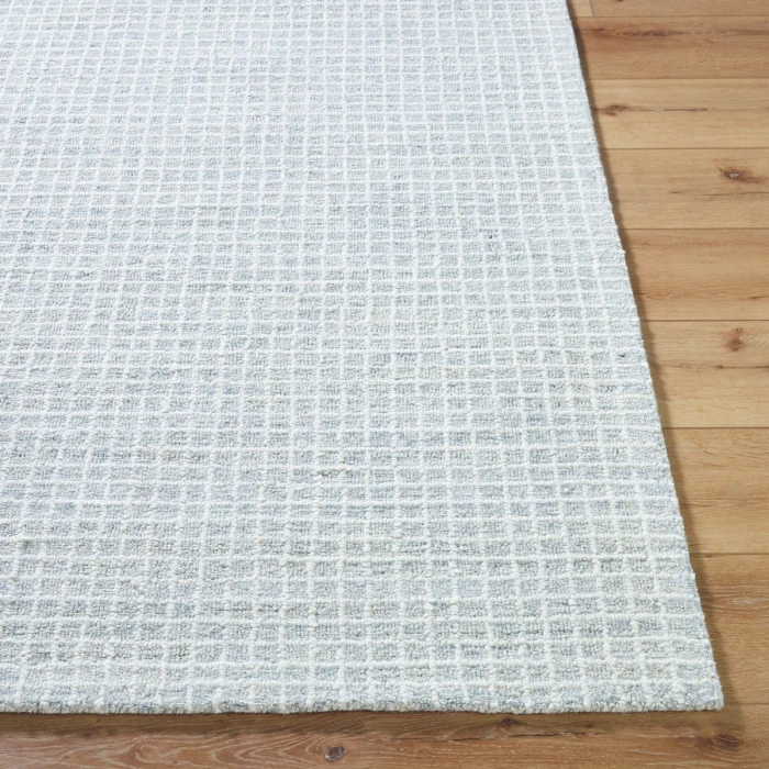 Vivir Andreas Powder Blue VVAN-2301 2 ft. X 3 ft. Rect. Rug
