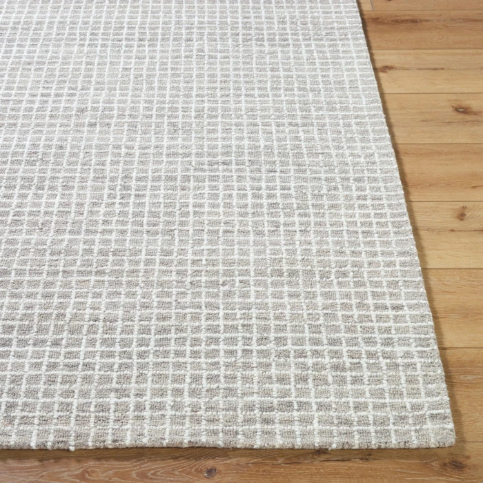 Vivir Andreas Ivory VVAN-2302 4 ft. X 6 ft. Rect. Rug
