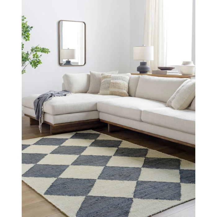 Antho VVAT-2302 8 x 10 Handmade Rug
