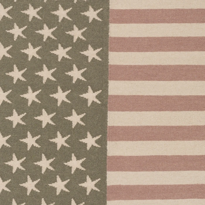 Surya WASHINGTON WAS-5002-9x13 rug