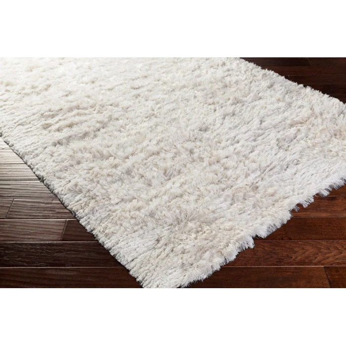 Surya Whisper WHI-1005-2x3 rug