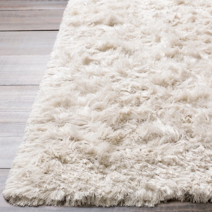 Surya Whisper WHI-1005-2x3 rug