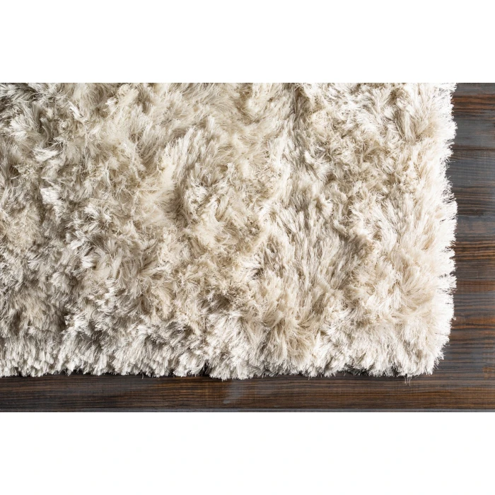 Surya Whisper WHI-1005-2x3 rug
