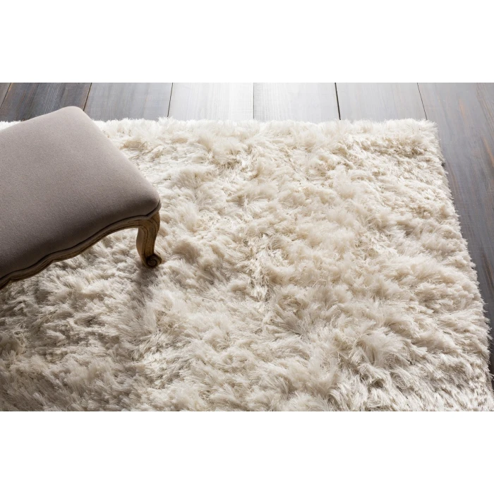 Surya Whisper WHI-1005-2x3 rug