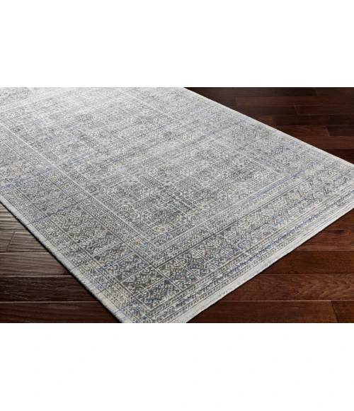 Surya Wembley WMY-2301 2  x 3  Rug