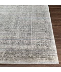 Surya Wembley WMY-2301 2  x 3  Rug