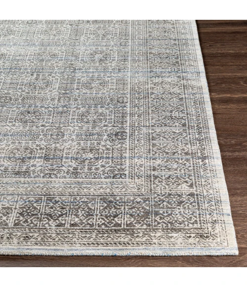 Surya Wembley WMY-2301 2  x 3  Rug