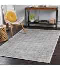 Surya Wembley WMY-2301 2  x 3  Rug