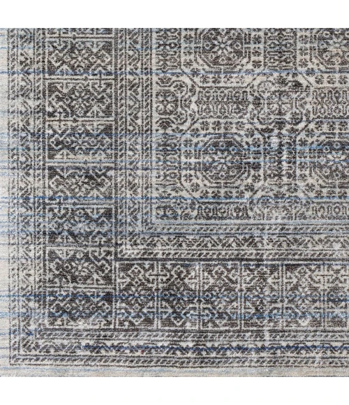 Surya Wembley WMY-2301 2  x 3  Rug