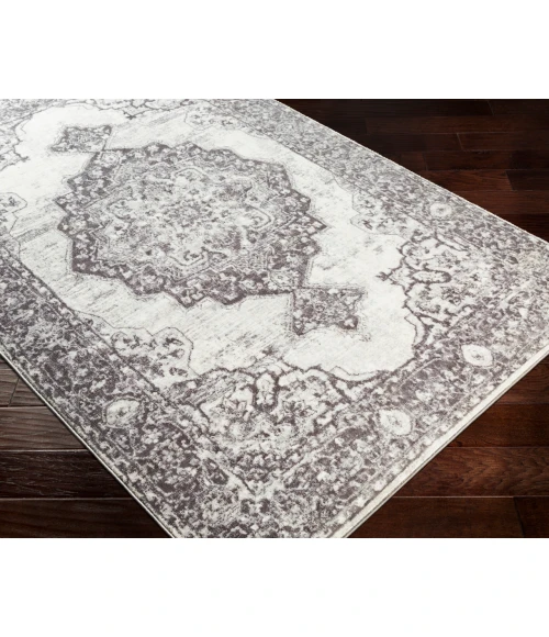 Wanderlust WNL-2303 8'10" x 12'4" Machine Woven Rug