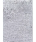 Livabliss Wanderlust WNL-2329 2 x 3 Rug