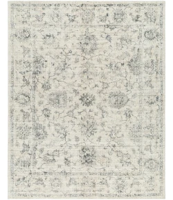 Surya Wilson WSN2312 Beige Charcoal Area Rug 9 ft. X 12 ft. Rectangle