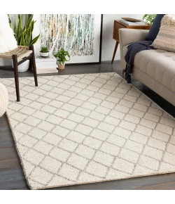 Surya Whistler WSR2300 Cream Taupe Area Rug 2 ft. X 3 ft. Rectangle