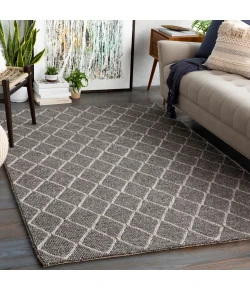 Surya Whistler Charcoal WSR-2301 5ft. x 7ft.6in. Rect. Rug
