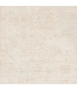 Surya Westchester WTC8005 Light Gray Light Brown Area Rug 12 ft. X 15 ft. Rectangle