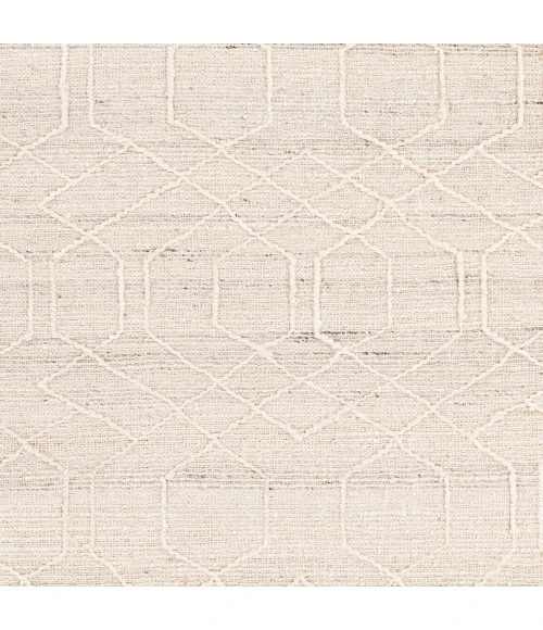 Surya Watford WTF-2303 2' x 3' Rug