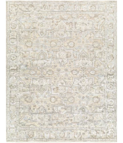 Surya Waterloo WTL2301 Area Rug 9 ft. X 12 ft. Rectangle