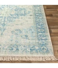 Surya Zainab Aqua ZAI-2300 2 ft. X 3 ft. Rect. Rug