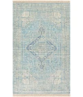 Livabliss Zainab ZAI-2304 Area Rug