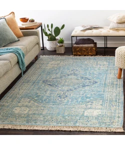 Livabliss Zainab ZAI2304 Sky Blue Navy Area Rug 8 ft. 10 in. X 12 ft. Rectangle
