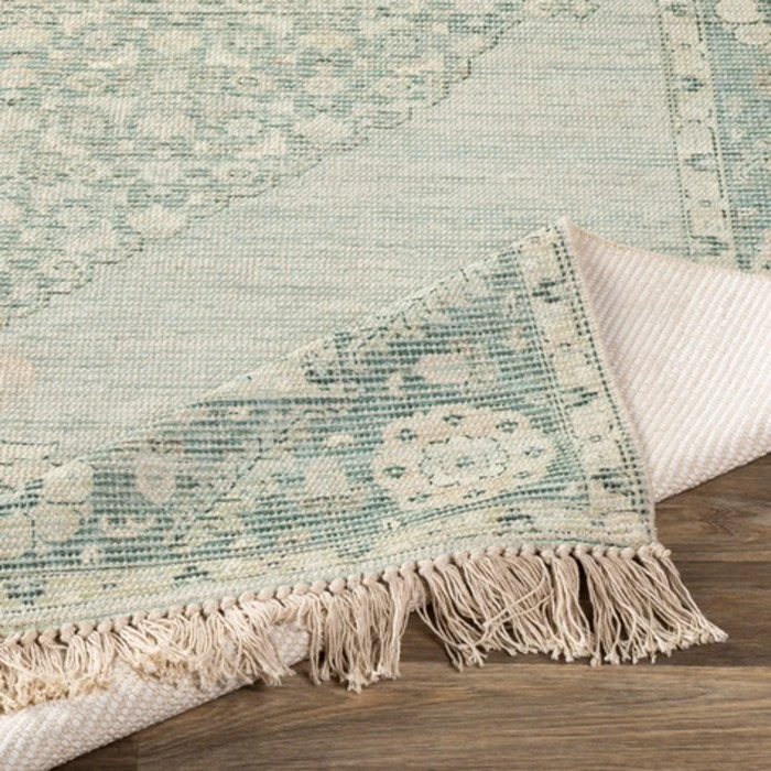 Livabliss Zainab ZAI-2306 Area Rug