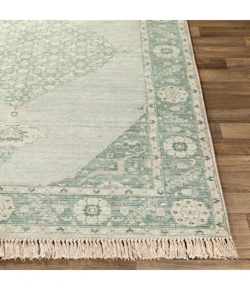 Livabliss Zainab ZAI-2306 Area Rug