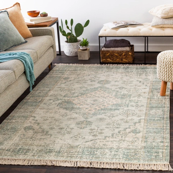 Livabliss Zainab ZAI-2311 Area Rug