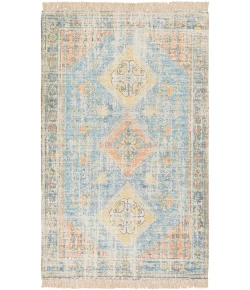 Surya Zainab ZAI2315 Sky Blue Burnt Orange Area Rug 8 ft. 10 in. X 12 ft. Rectangle