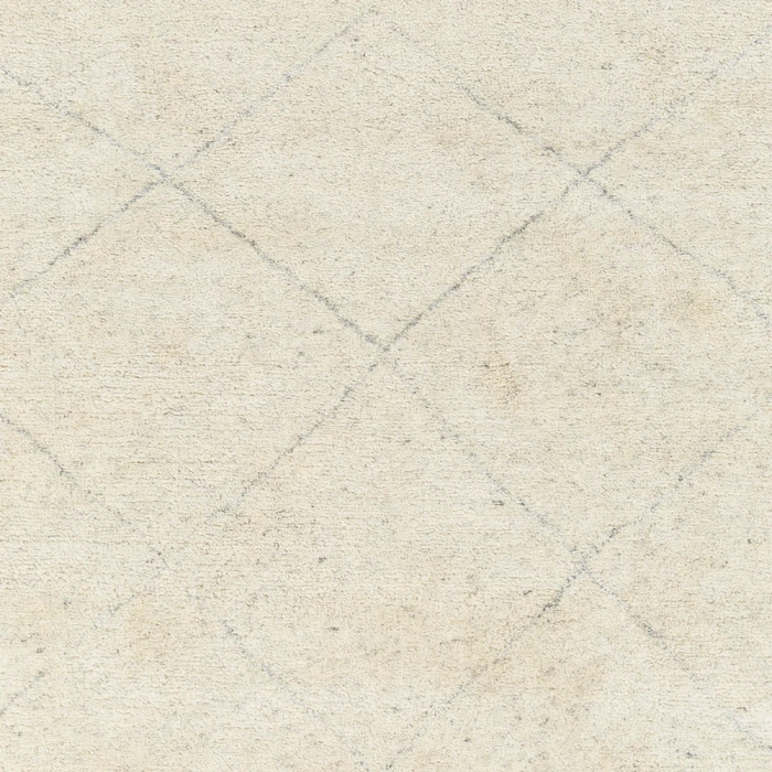 Surya Zara Rug ZAR2301