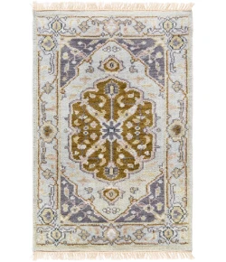 Surya Zeus ZEU7823 Light Gray Charcoal Area Rug 2 ft. X 3 ft. Rectangle