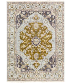 Surya Zeus ZEU7823 Light Gray Charcoal Area Rug 8 ft. X 11 ft. Rectangle