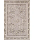 Surya Zahra ZHA-4009-36x56 rug