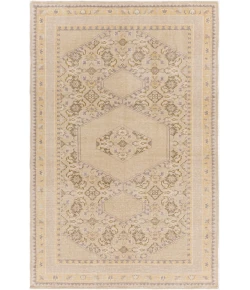 Surya Zahra Beige ZHA-4032 3ft.6in. x 5ft.6in. Rect. Rug