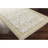 Surya Zahra ZHA4038 Ice Blue Tan Area Rug 3 ft. 6 in. X 5 ft. 6 in. Rectangle